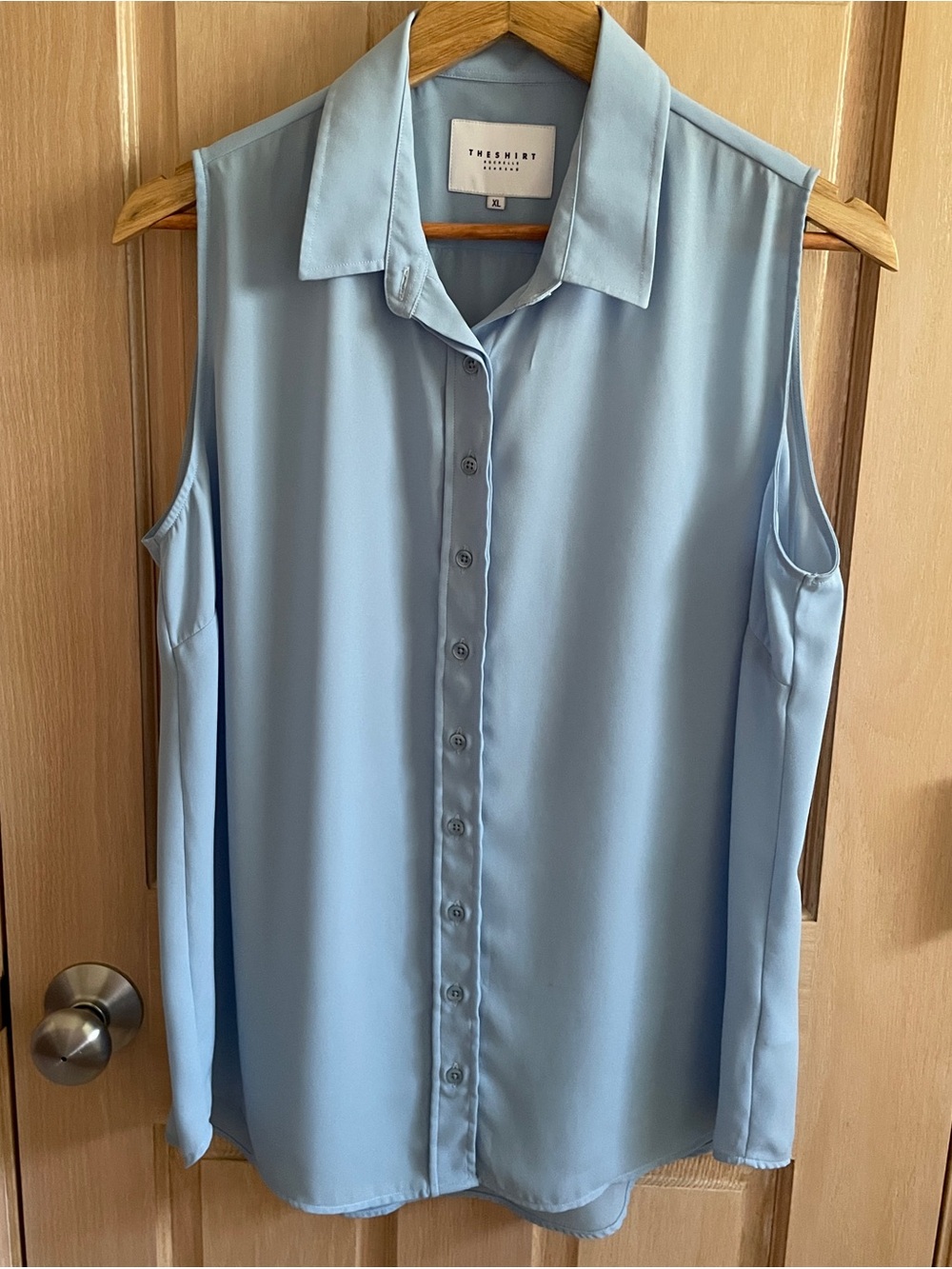 The Shirt by Rochelle Behrens Light Blue Sleeveless Button-Front Blouse